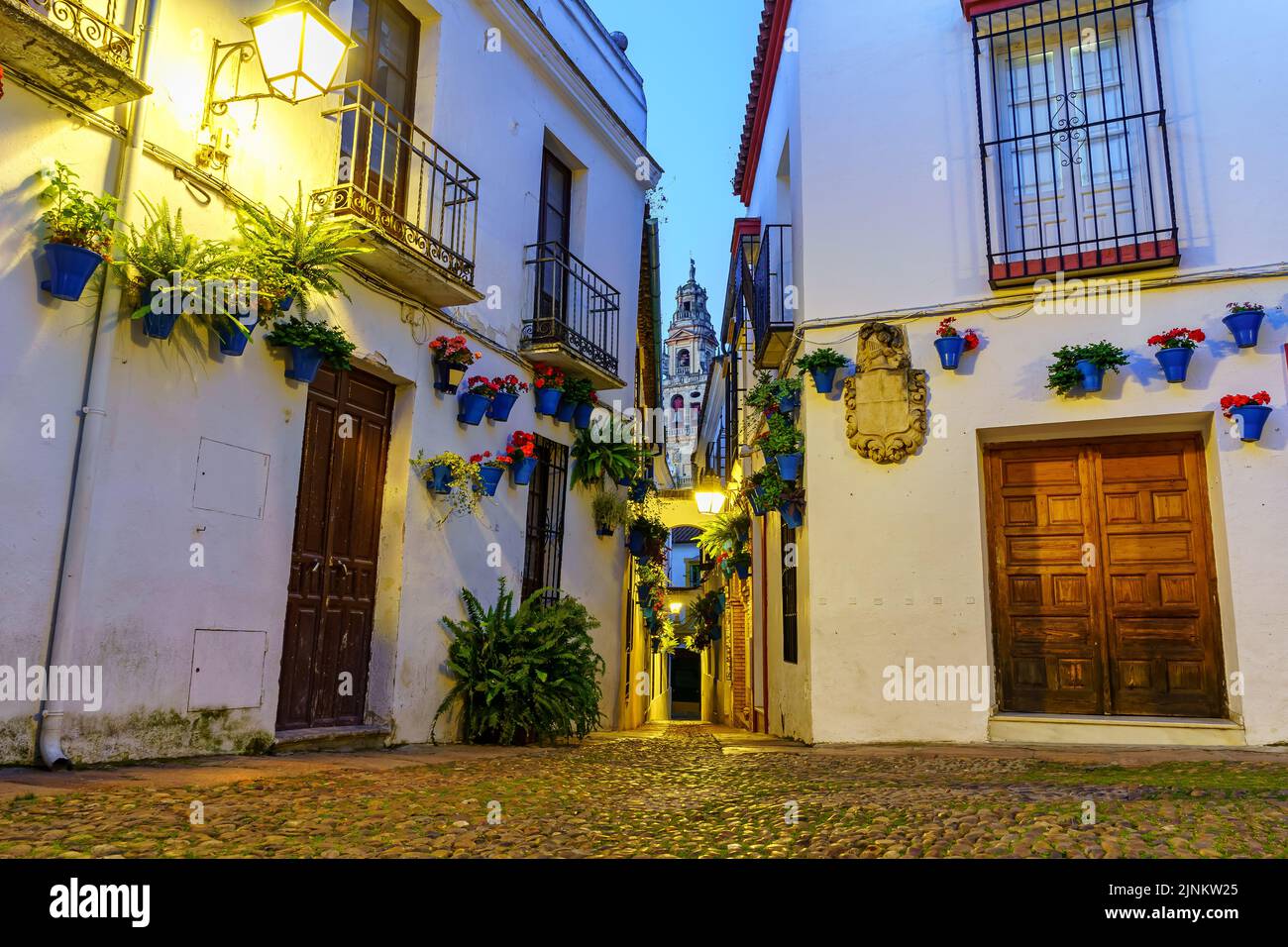 Pittoresca piazza e vicolo stretto con piante e fiori al crepuscolo nella città di Cordoba Spagna. Foto Stock