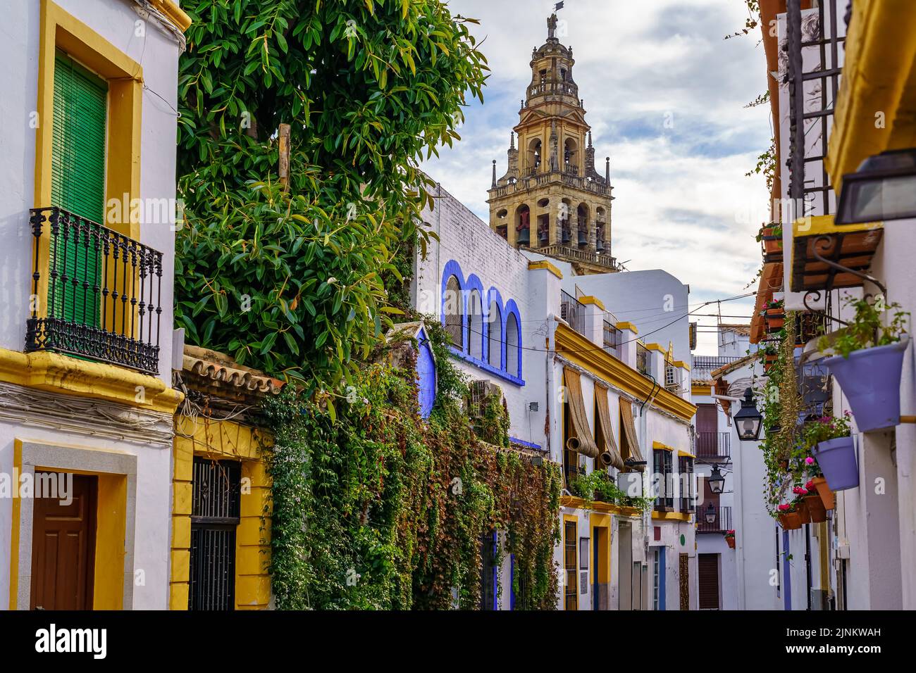 Torre della cattedrale che sorge tra le case colorate della città. Cordoba, Spagna. Foto Stock