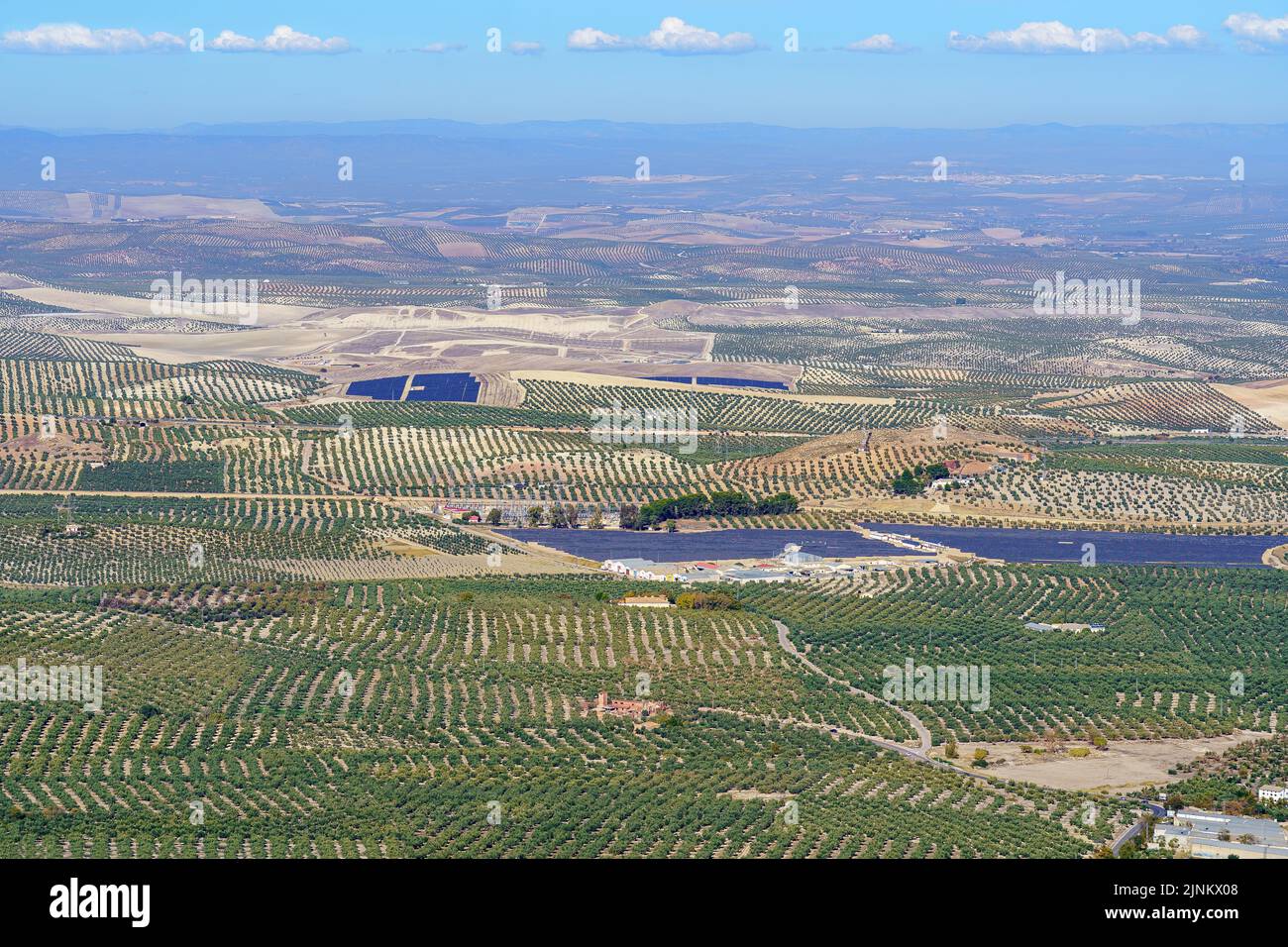 Veduta aerea degli infiniti oliveti e delle centrali solari a Jaen, Spagna. Foto Stock