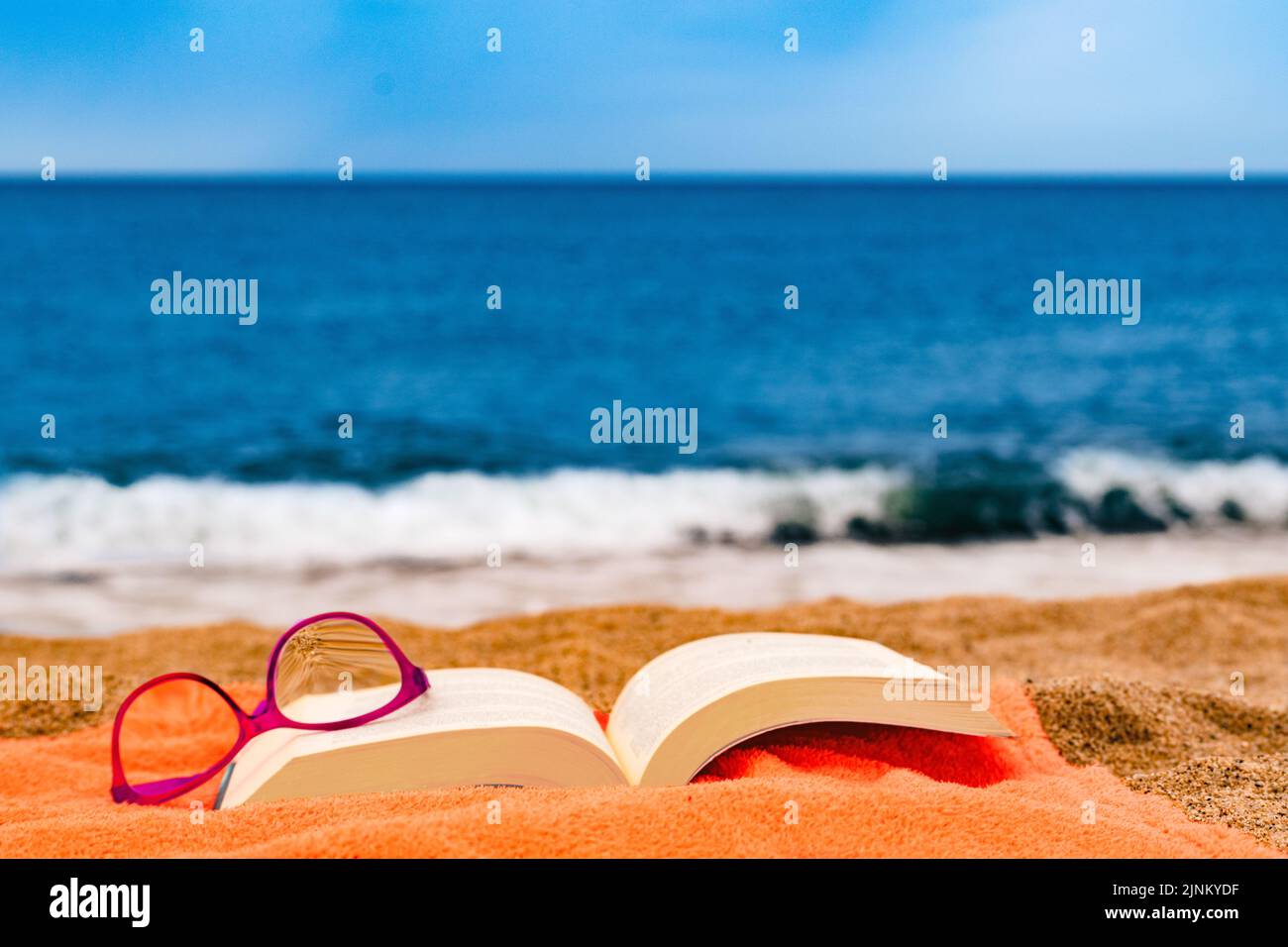 libro e bicchieri sul telo da spiaggia con il mare sullo sfondo Foto Stock