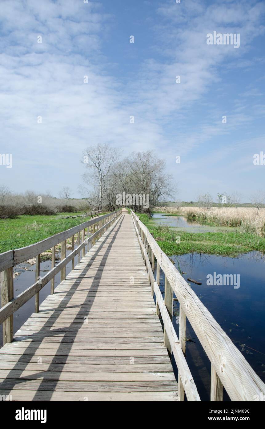 Una vista lungo una passerella in legno fino a un punto di fuga in lontananza. Il ponte passa attraverso un'ampia zona umida. Foto Stock