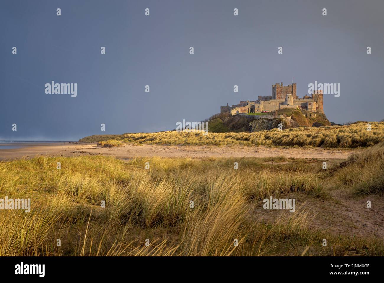 Sud verso il Castello di Bamburgh alla luce del sole serale con un cielo invernale scuro, Northumberland, Inghilterra Foto Stock
