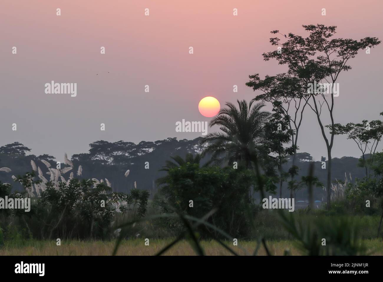 Foto al tramonto. Questa foto è stata scattata da Barisal, Bangladesh. Foto Stock
