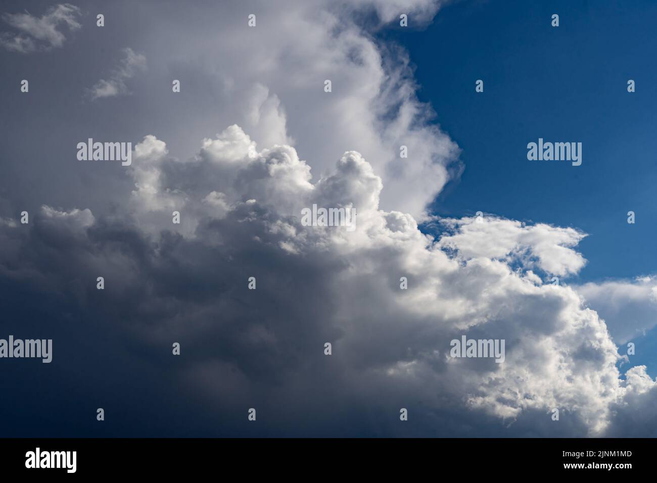 Le nuvole di temporale torreggiano in un cielo estivo blu brillante Foto Stock