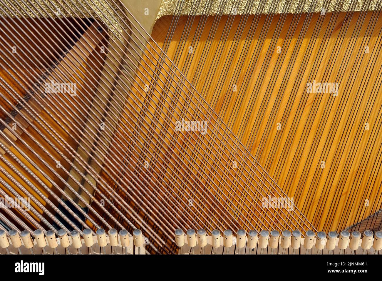 Primo piano dell'interno del pianoforte a coda che mostra la corda in posizione verticale Foto Stock