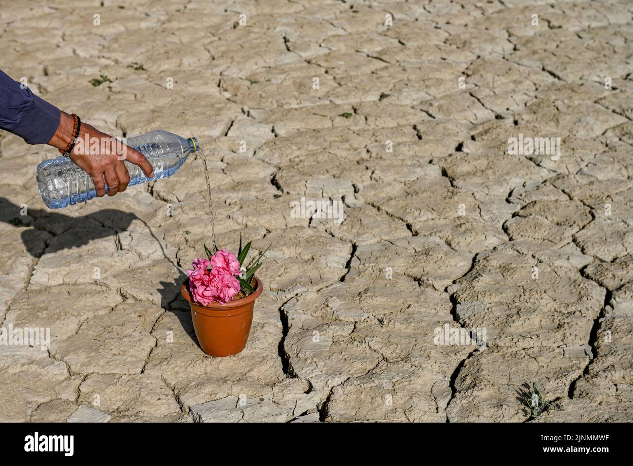 Annaffiando una pentola nel paesaggio arido. Riscaldamento globale ed effetto serra. Foto Stock