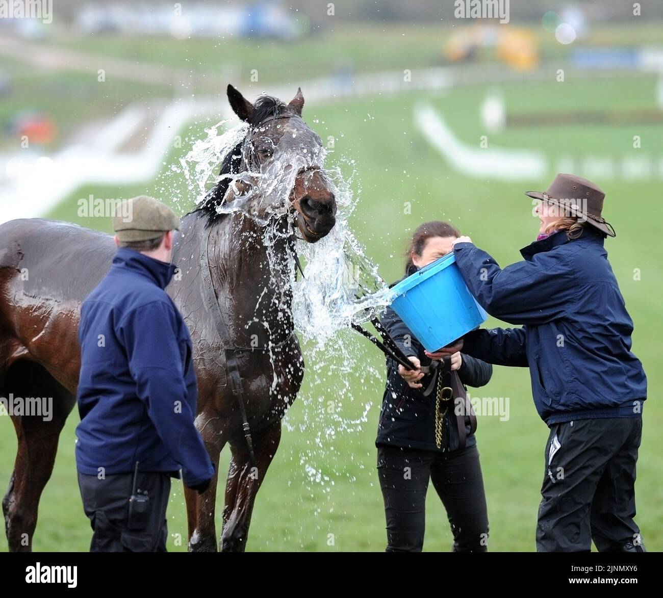 Cheltenham Gold Cup Day RaceHorse welfare 15.03.13 GARA 6 Foto Stock