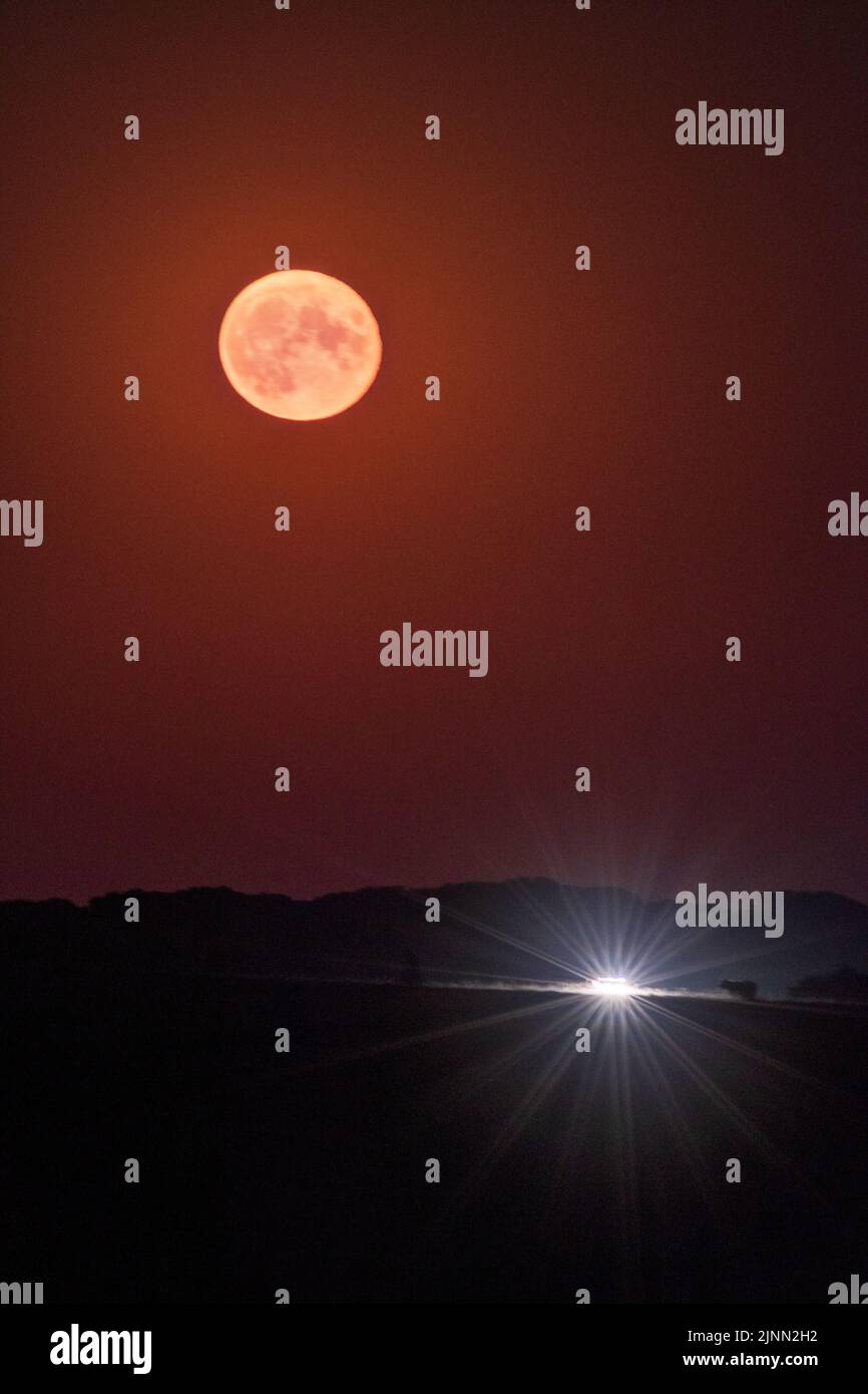 Bramble Hill, Bramshaw, Hampshire, Regno Unito, 12th agosto 2022. Sturgeon supermoon luna piena che si innalza sulla campagna della Nuova Foresta con fari auto che passano sotto. Credit: Paul Biggins/Alamy Live News Foto Stock