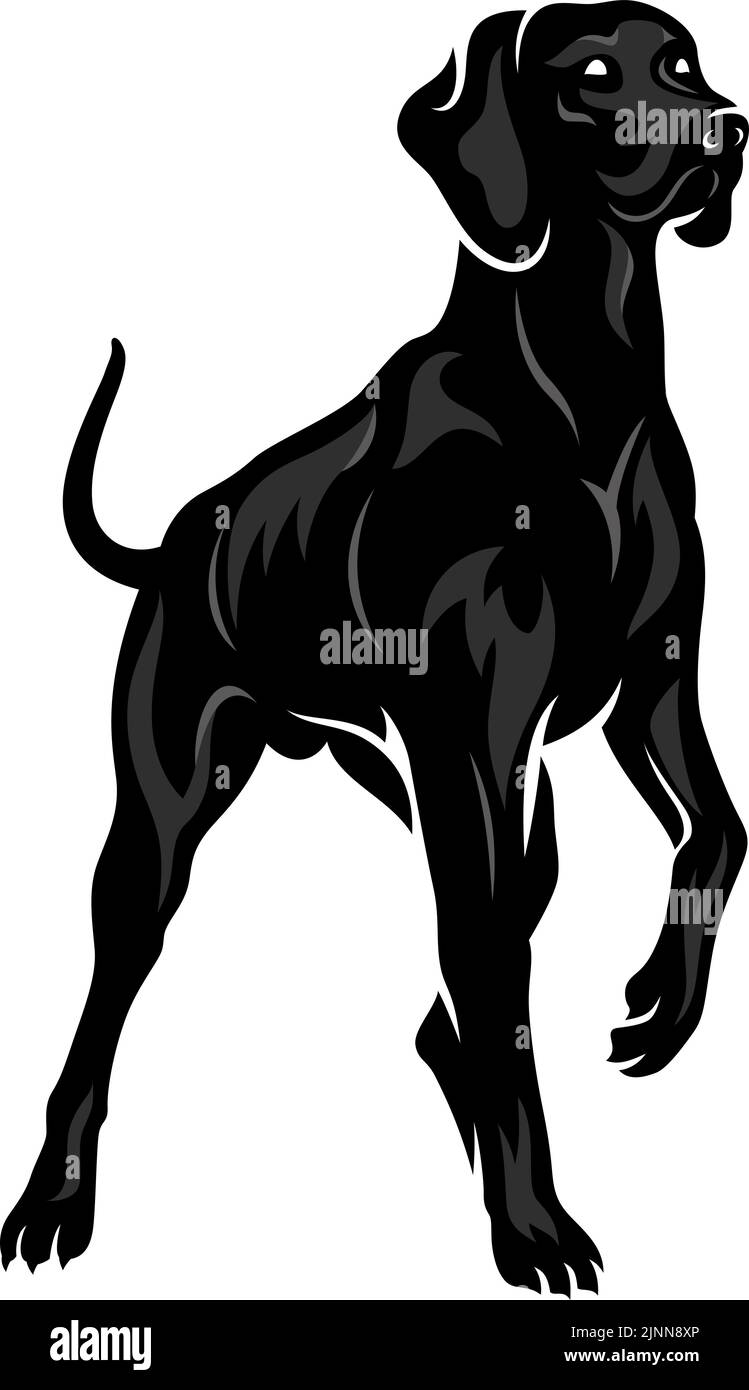 Illustrazione del cane puntatore Shortair tedesco Illustrazione Vettoriale