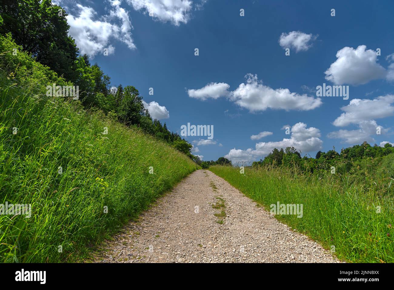 Il sentiero escursionistico conduce attraverso prati alti, alta Franconia, Baviera, Germania Foto Stock