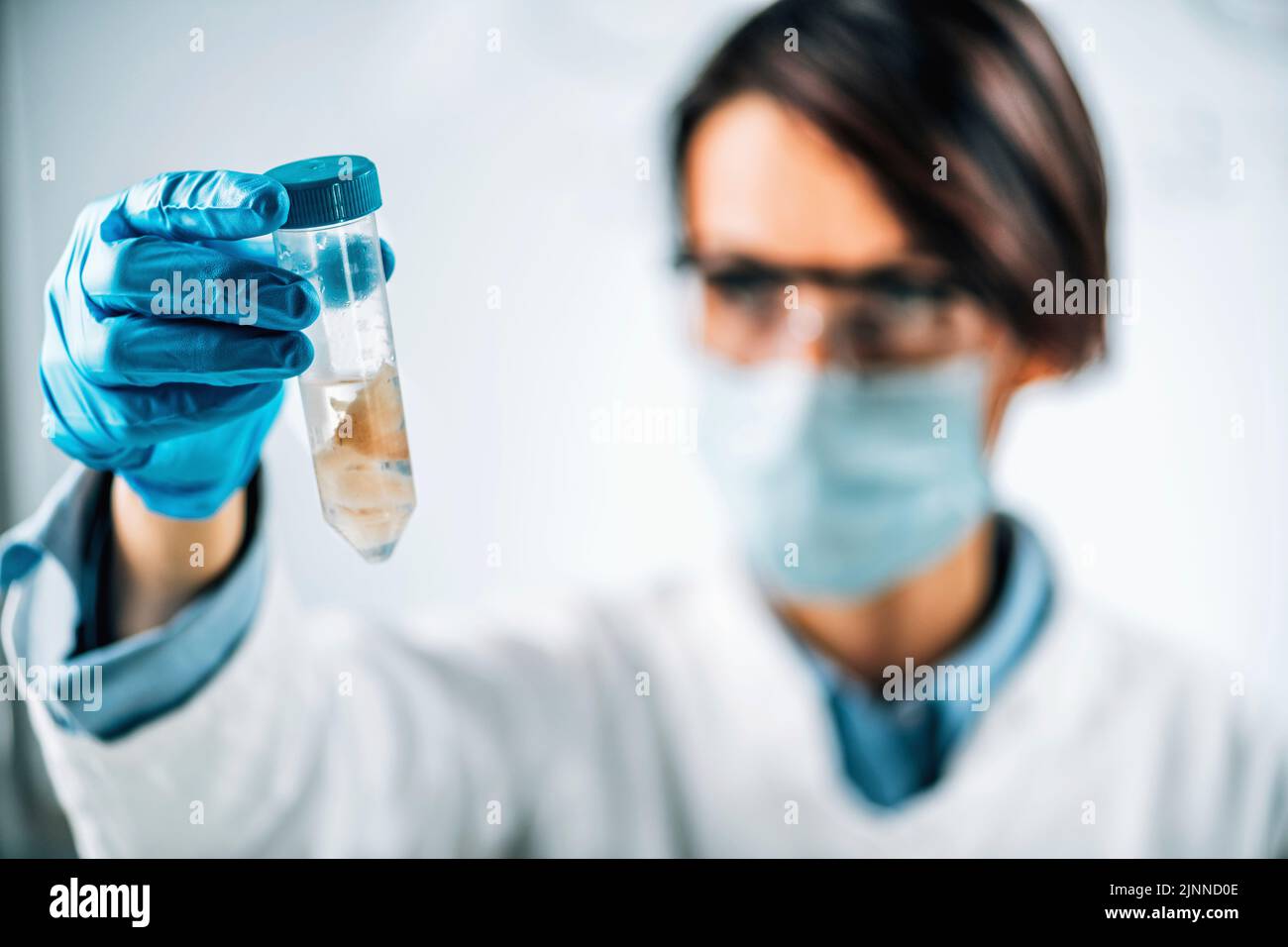 Ispettore di controllo qualità che esamina i pesci Foto Stock
