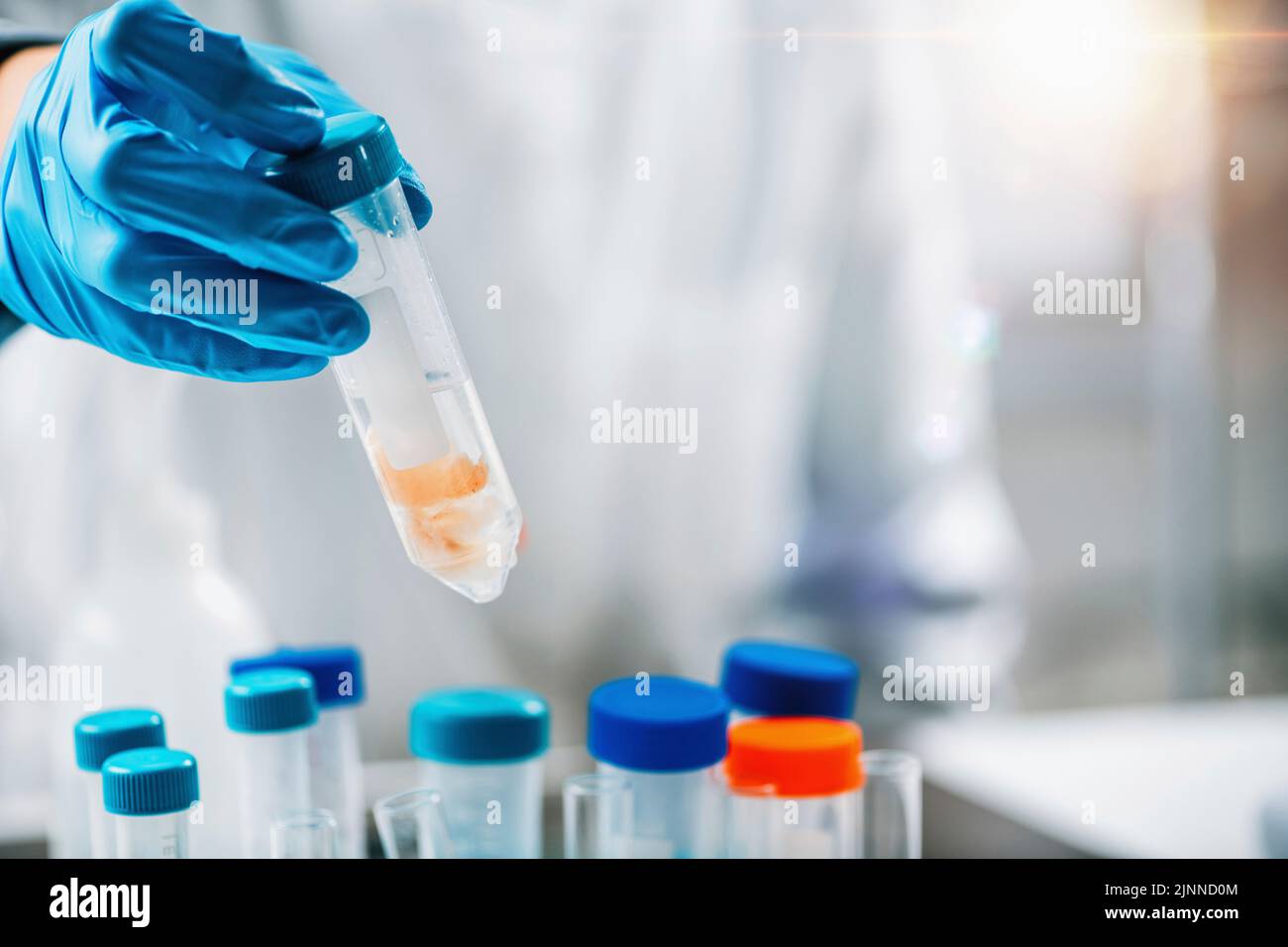 Ispettore di controllo qualità che esamina i pesci Foto Stock