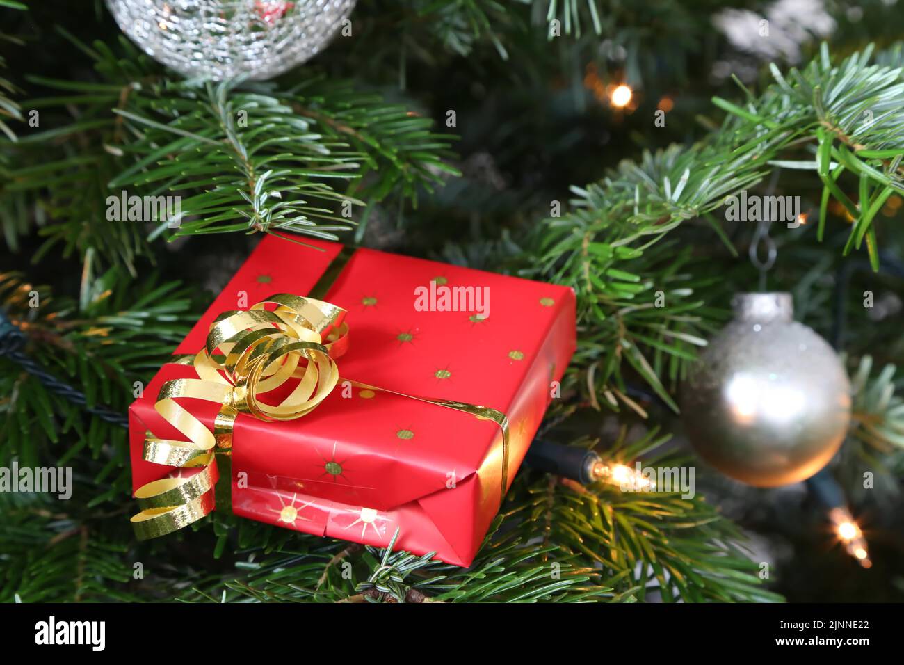 Piccolo regalo avvolto con arco d'oro sull'albero di Natale Foto Stock
