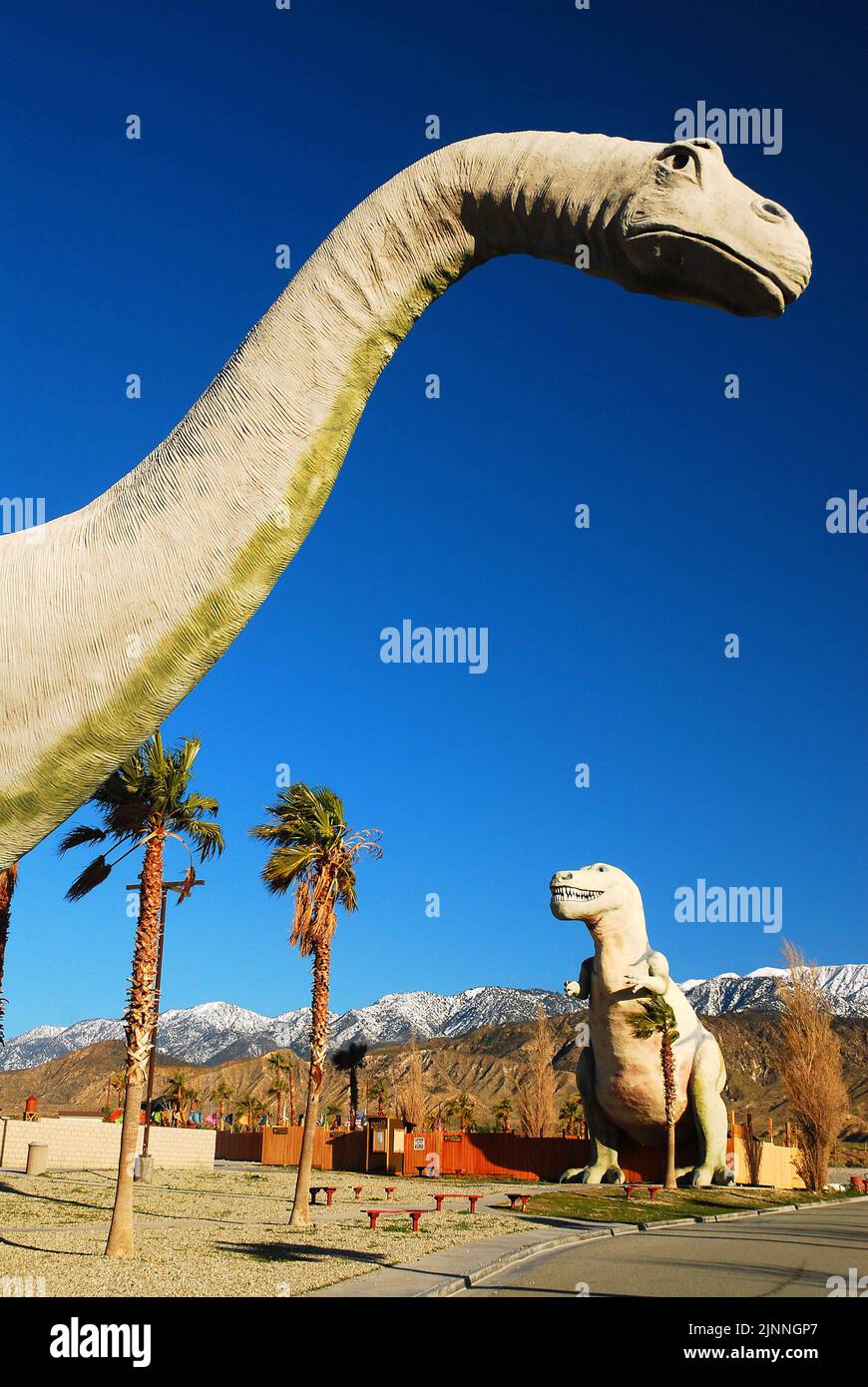 Un brontosauro e un T Rex sono alti in una trappola turistica lungo la strada nel deserto della California vicino a Cabazon, fuori Los Angeles Foto Stock