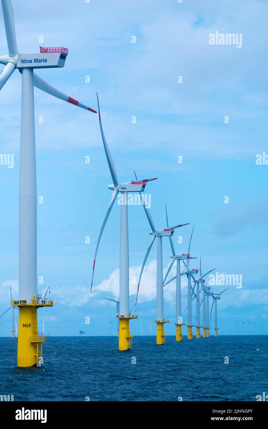 Parco eolico offshore Meerwind, zona economica, a nord-ovest di Helgoland, Mare del Nord, Germania Foto Stock