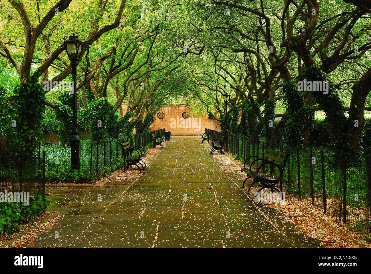 Un percorso nei Conservatory Gardens of Central Park a New York City mostra i germogli caduti degli alberi di ciliegio in tarda primavera Foto Stock