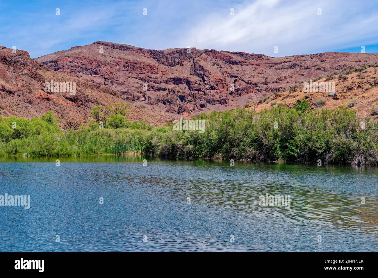 Il fiume Owyhee che scorre sotto le colline di roccia rossa a nord del bacino idrico nell'Oregon orientale, Stati Uniti Foto Stock