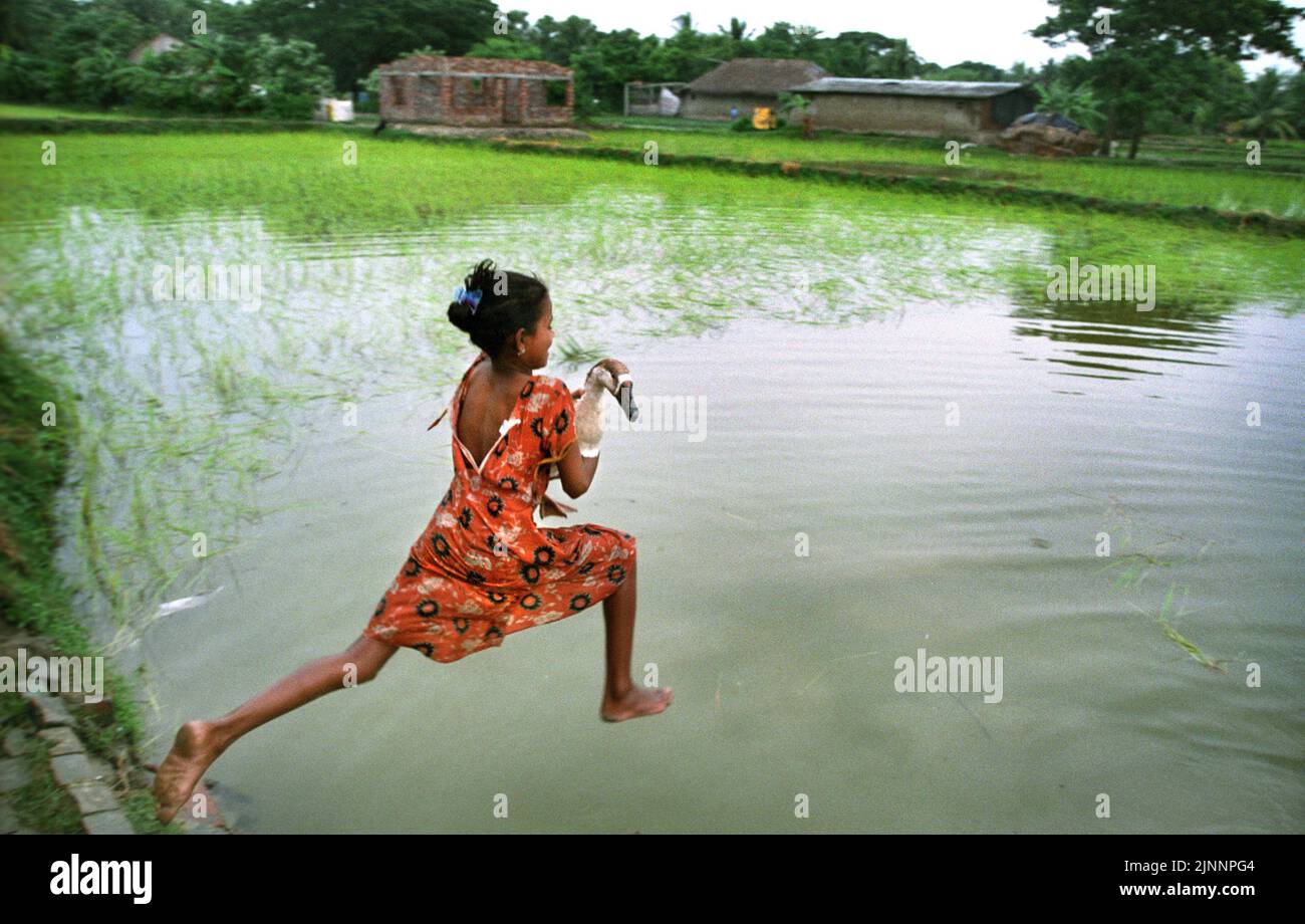 Un piccolo villaggio remoto ragazza salto nel villaggio stagno con la sua anatra animale domestico al remoto villaggio di Sundarban, Bengala occidentale in India. Foto Stock