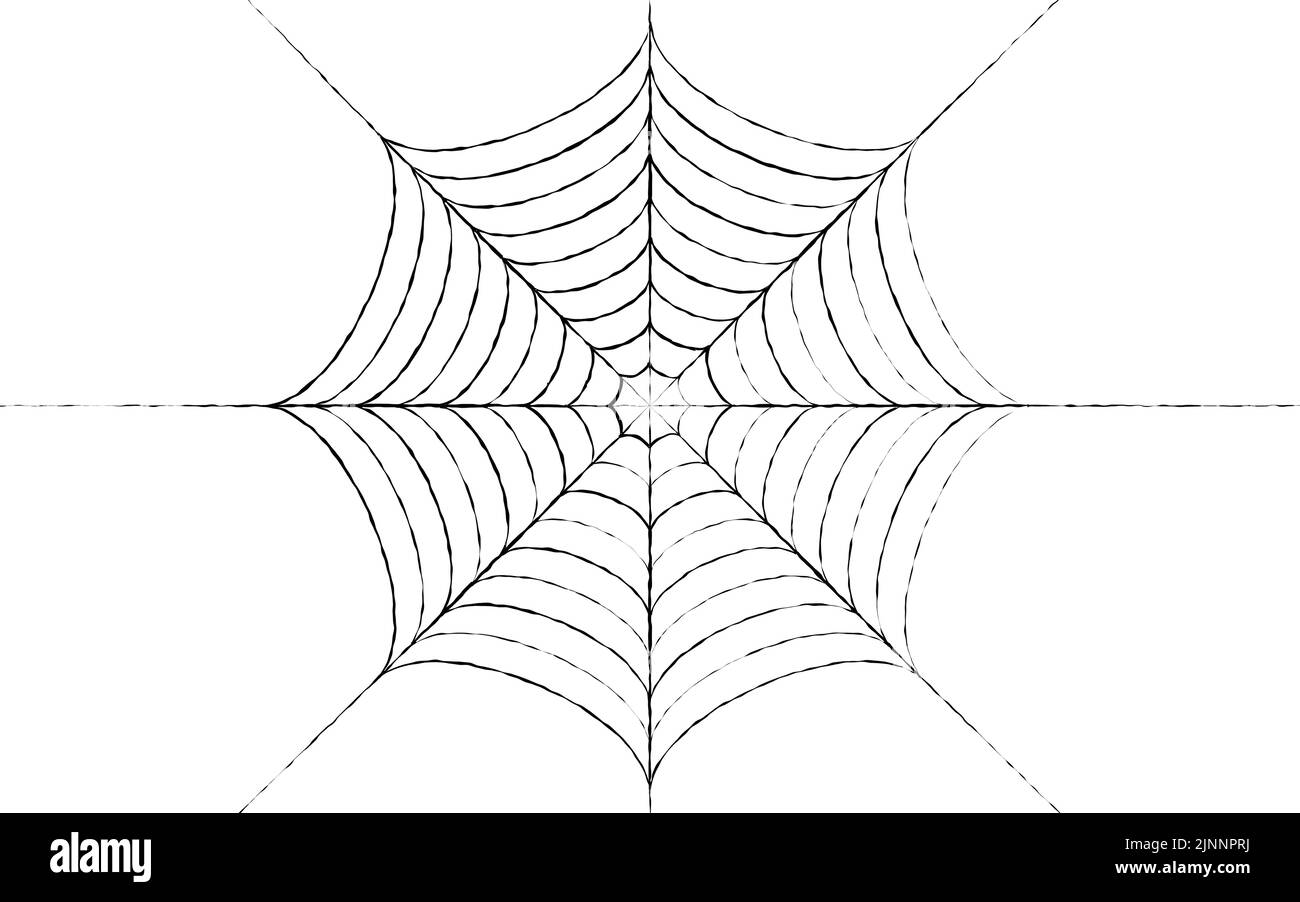 Per Halloween e horror disegni Spider web, sfondo bianco Illustrazione Vettoriale