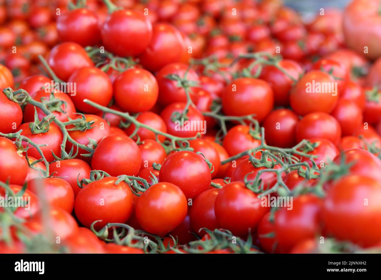 Pomodori ciliegini maturi con foglie verdi sul mercato Foto Stock