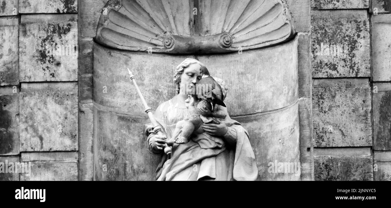 Un piccione di legno comune seduto su una statua. Si tratta di una statua di Maria sopra l'ingresso di un antico monastero del 14th ° secolo Foto Stock