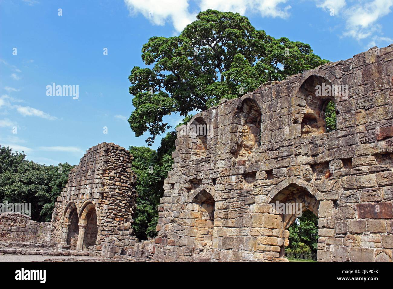 Rovine dell'abbazia di Basingwerk nei pressi di Holywell, Galles Foto Stock