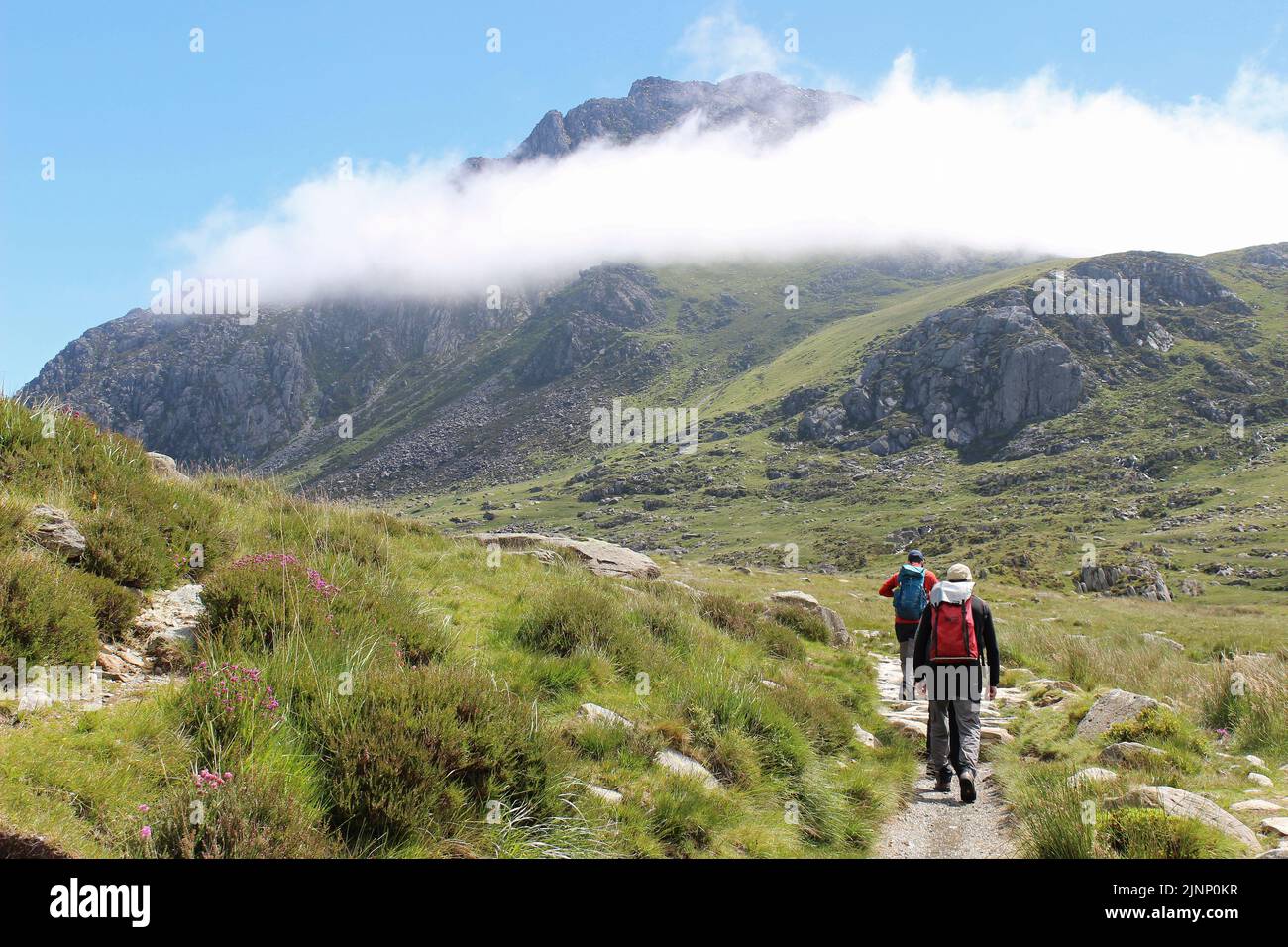 Gli escursionisti che si dirigono lungo la pista per Tryfan avvolto in Cloud, Glyderau catena montuosa, Snowdonia, Galles Foto Stock