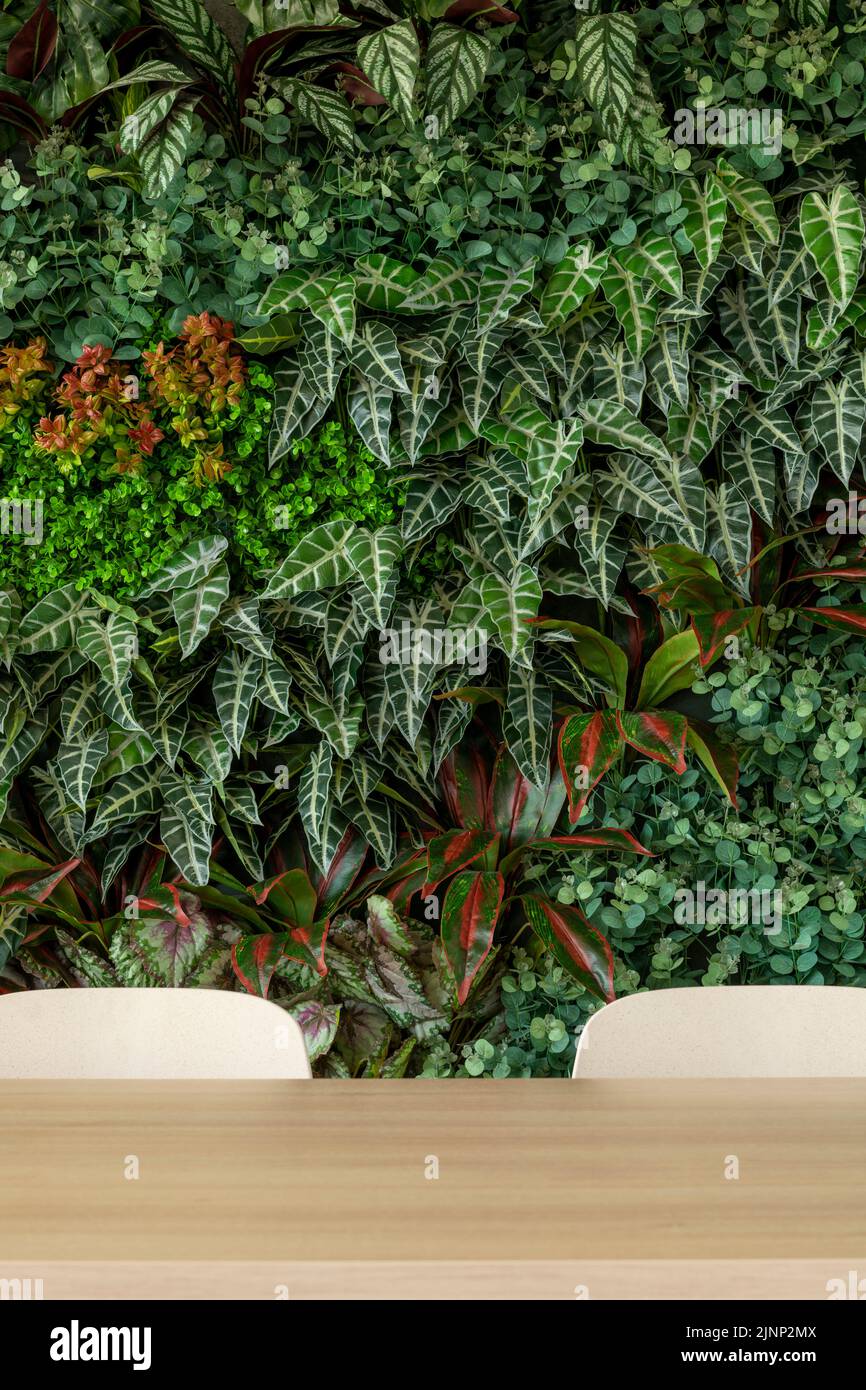 Soggiorno verde con sedie e tavolo, giardino verticale - foto stock Foto Stock