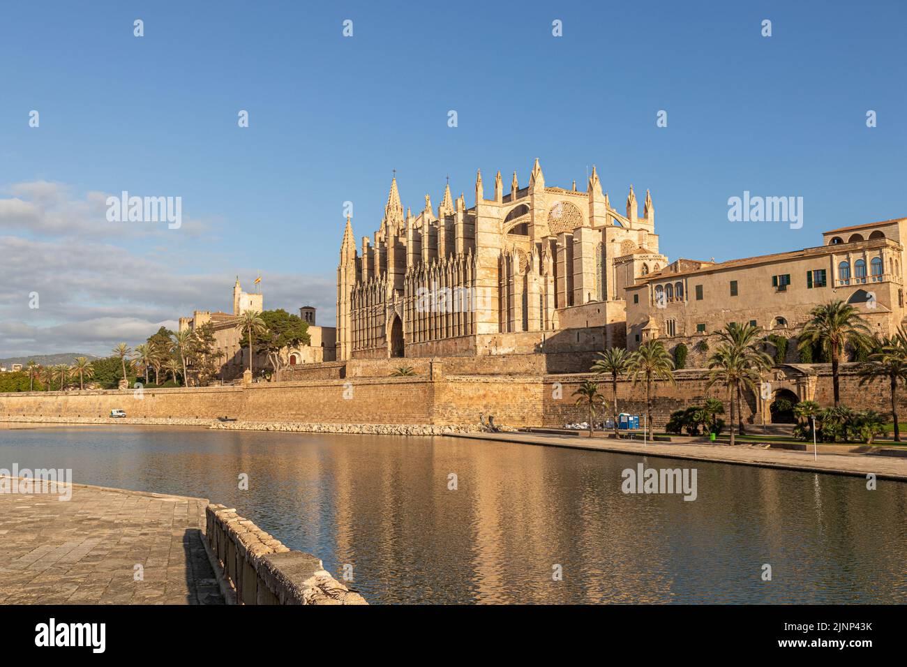 Palma di Maiorca, Spagna. Facciata e rosone chiamato Ojo del Gotico (occhio gotico) della Cattedrale di Santa Maria, e Parc de la Mar Foto Stock