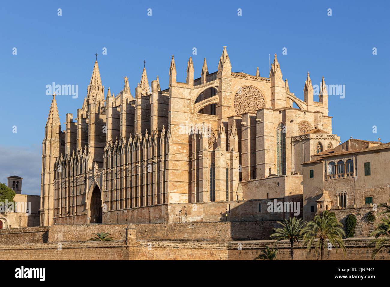 Palma di Maiorca, Spagna. Facciata e rosone chiamato Ojo del Gotico (occhio gotico) della Cattedrale di Santa Maria Foto Stock