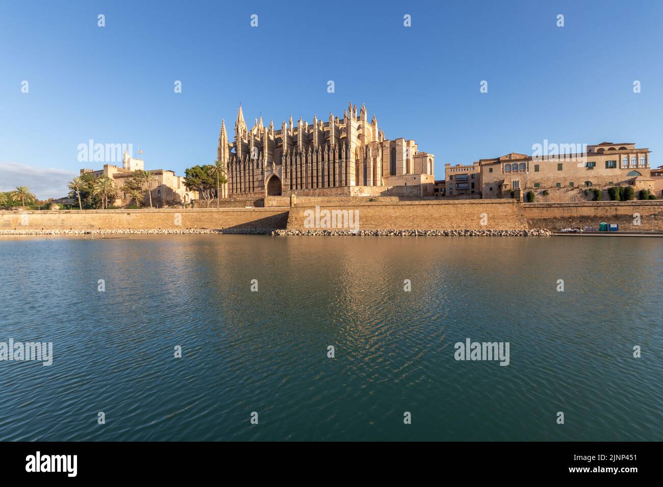 Palma di Maiorca, Spagna. Facciata e rosone chiamato Ojo del Gotico (occhio gotico) della Cattedrale di Santa Maria, e Parc de la Mar Foto Stock