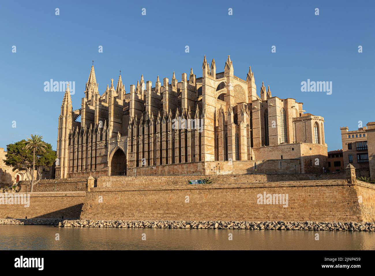 Palma di Maiorca, Spagna. Facciata e rosone chiamato Ojo del Gotico (occhio gotico) della Cattedrale di Santa Maria Foto Stock