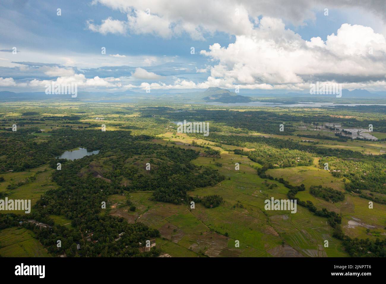 Veduta aerea della zona rurale con risaie e terreno coltivato. Sri Lanka. Foto Stock