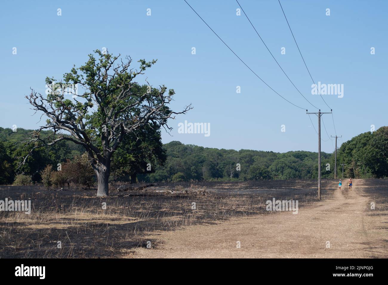 Hedgerley, Buckinghamshire, Regno Unito. 13th agosto, 2022. I vigili del fuoco del Buckinghamshire Fire & Rescue Service sono tornati oggi ad estinguere le zone più affollate di Hedgerley, Buckinghamshire. Ieri circa 25 ettari di terreno agricolo sono stati distrutti in un grave incendio che si è diffuso sul terrapieno del M40. Man mano che il fumo scivolava attraverso la M40, due corsie della M40 in direzione nord tra la Junction 1A (M25 Interchange) e la Junction 2 (Beaconsfield) erano chiuse. Credit: Maureen McLean/Alamy Live News Foto Stock