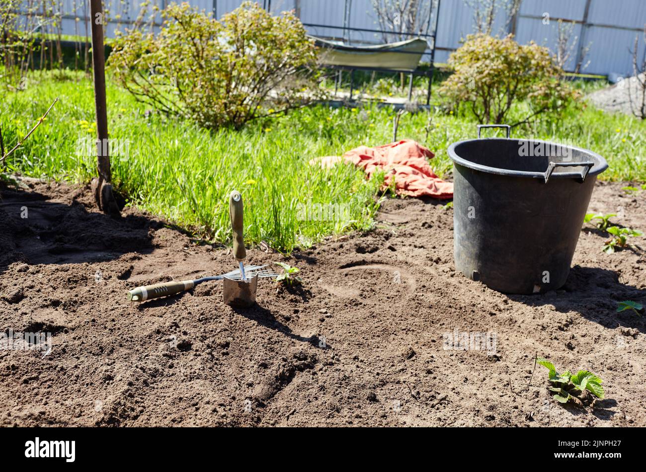 Preparazione di suolo per piantare in primavera. Coltivazione di frutta e verdura in terreni all'aperto, focalizzazione selettiva Foto Stock