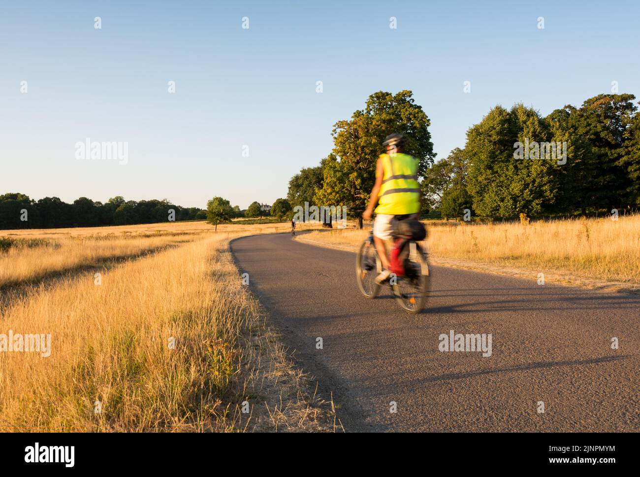 Un ciclista in un Richmond Park, Londra, Londra, SW15, Inghilterra, REGNO UNITO Foto Stock