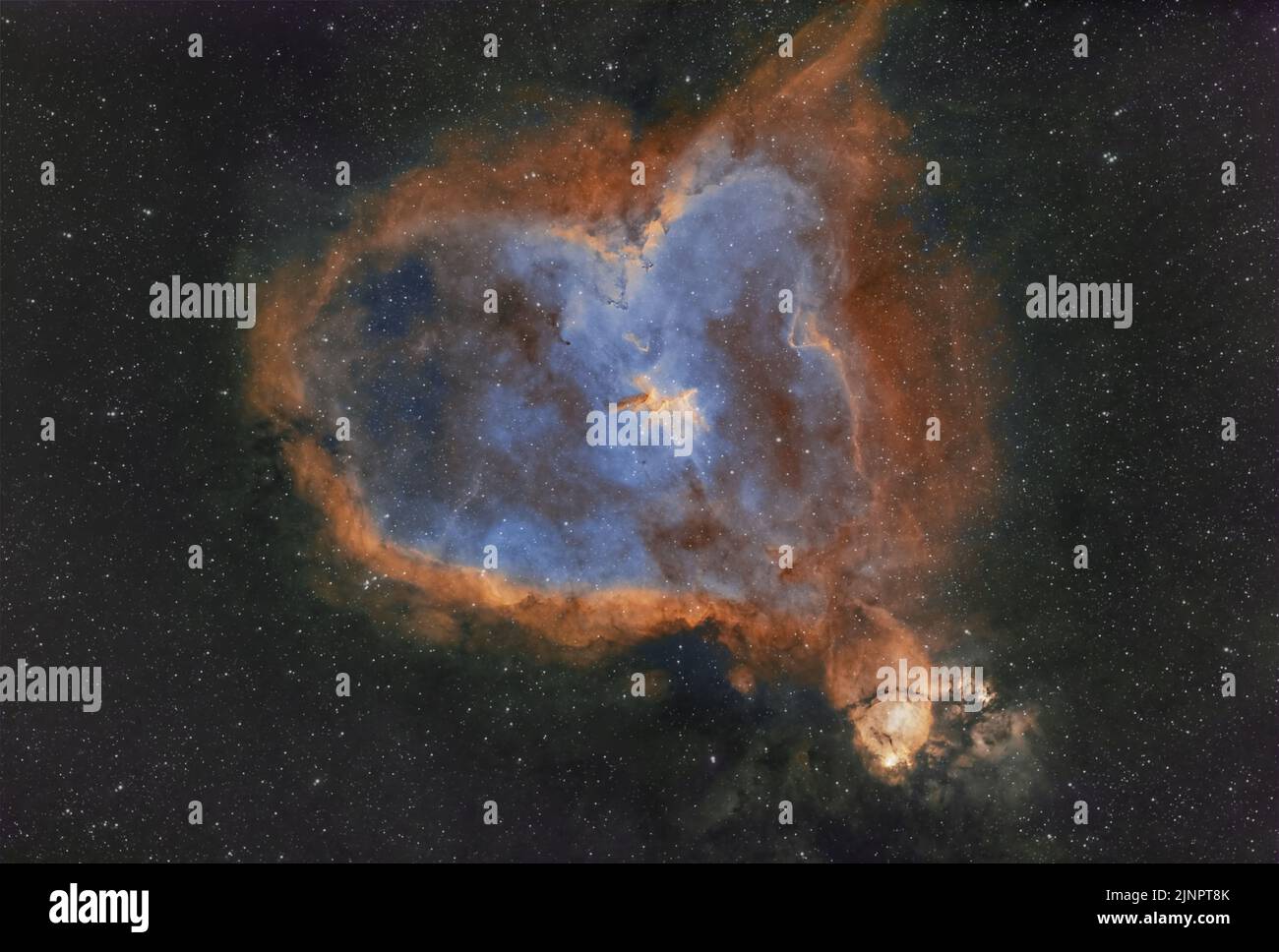 La Nebula cardiaca (IC 1805) e la Nebula testa di pesce (IC 1795) emettano nebulose nella costellazione di Cassiopeia Casseopeiae. Fotografato dal Regno Unito Foto Stock
