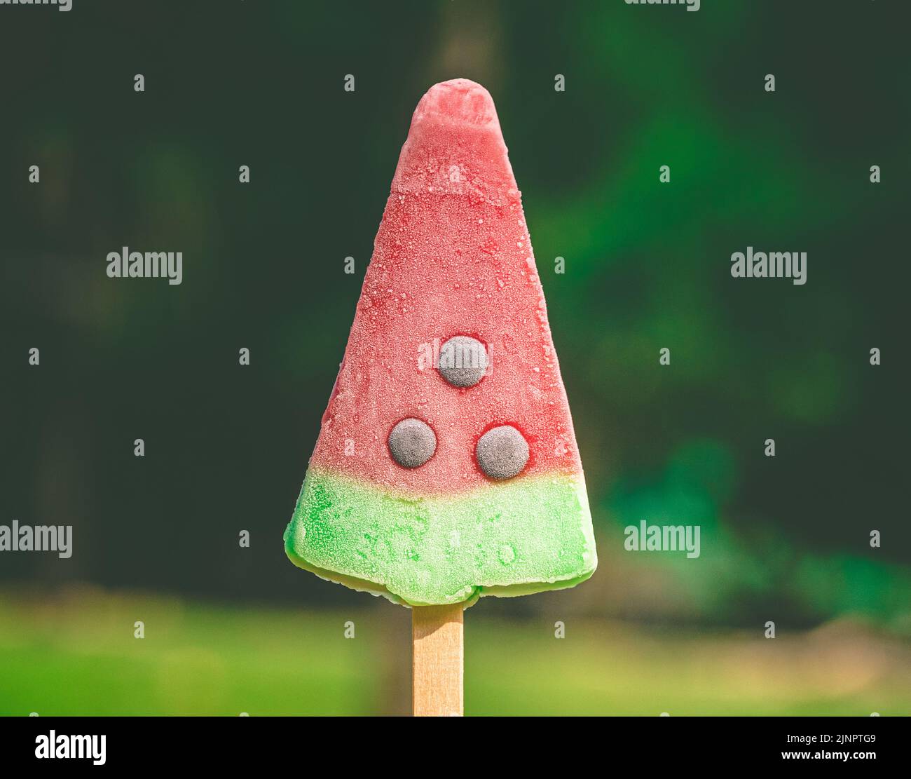 H gelato o papiclette a forma di lamaacqua sullo sfondo naturale, succo di frutta congelato. Foto Stock