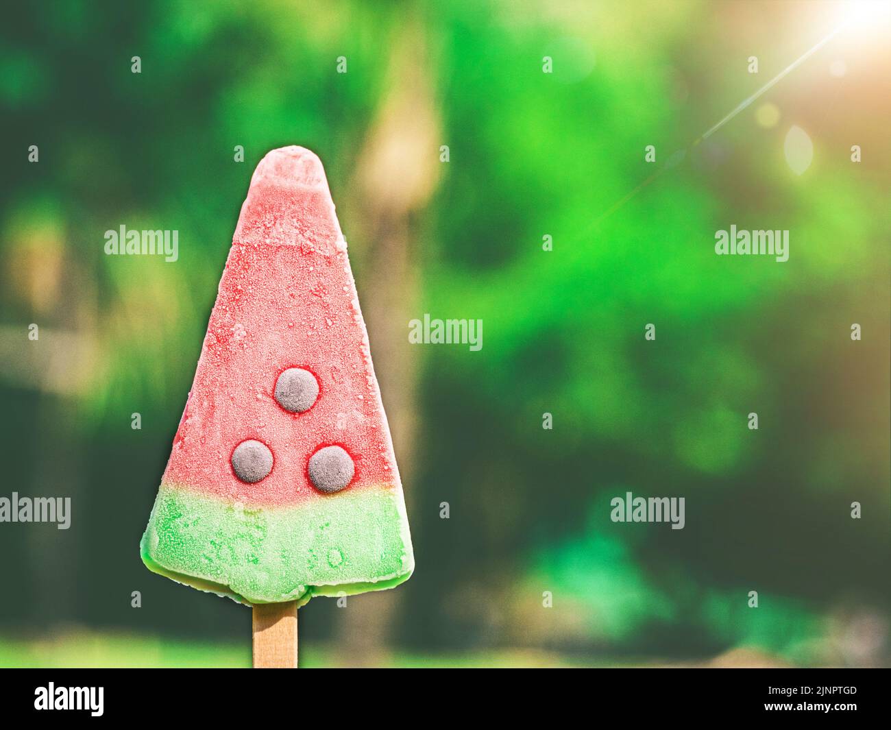 H gelato o papiclette a forma di lamaacqua sullo sfondo naturale, succo di frutta congelato. Foto Stock
