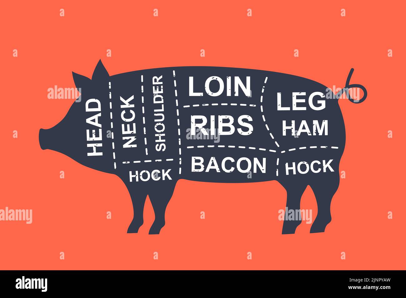 Tagli del diagramma a suino. Poster schema macellaio. Tagli di carne di maiale. Illustrazione schema di carne. Fattoria animale silhouette. Illustrazione Vettoriale