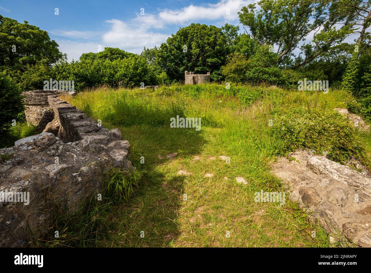 Le rovine del castello di Aberlleiniog, Isola di Anglesey, Galles del Nord Foto Stock