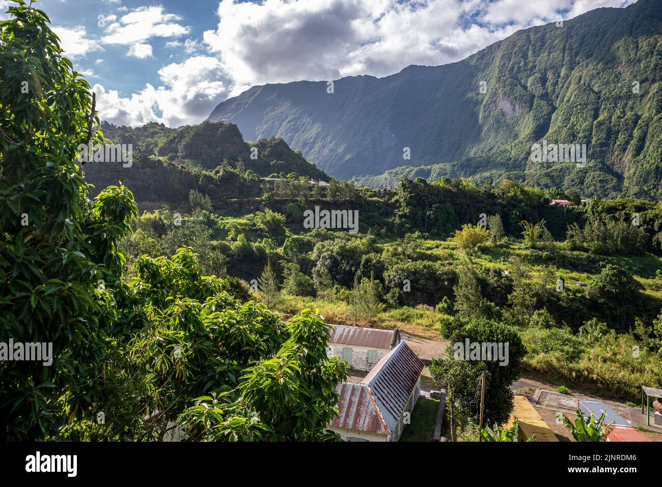 Verde paesaggio montano, isola di Réunion, Francia Foto Stock