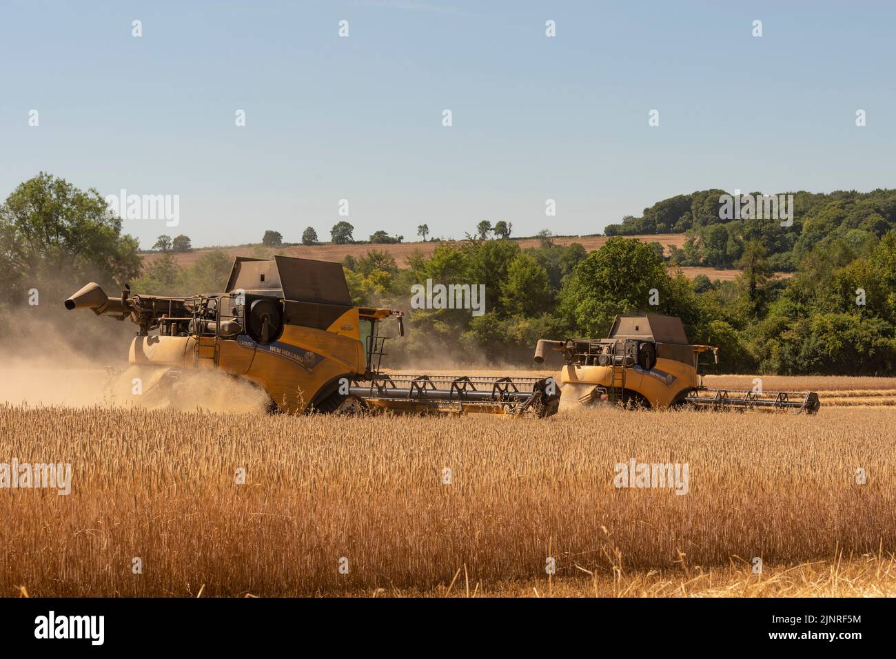 The Cotswolds, Gloucestershire, Inghilterra, Regno Unito. 2022. Due mietitrebbie che raccolgono il raccolto di segale nel Gloucetsershire, Inghilterra durante un caldo agosto 2022. Foto Stock