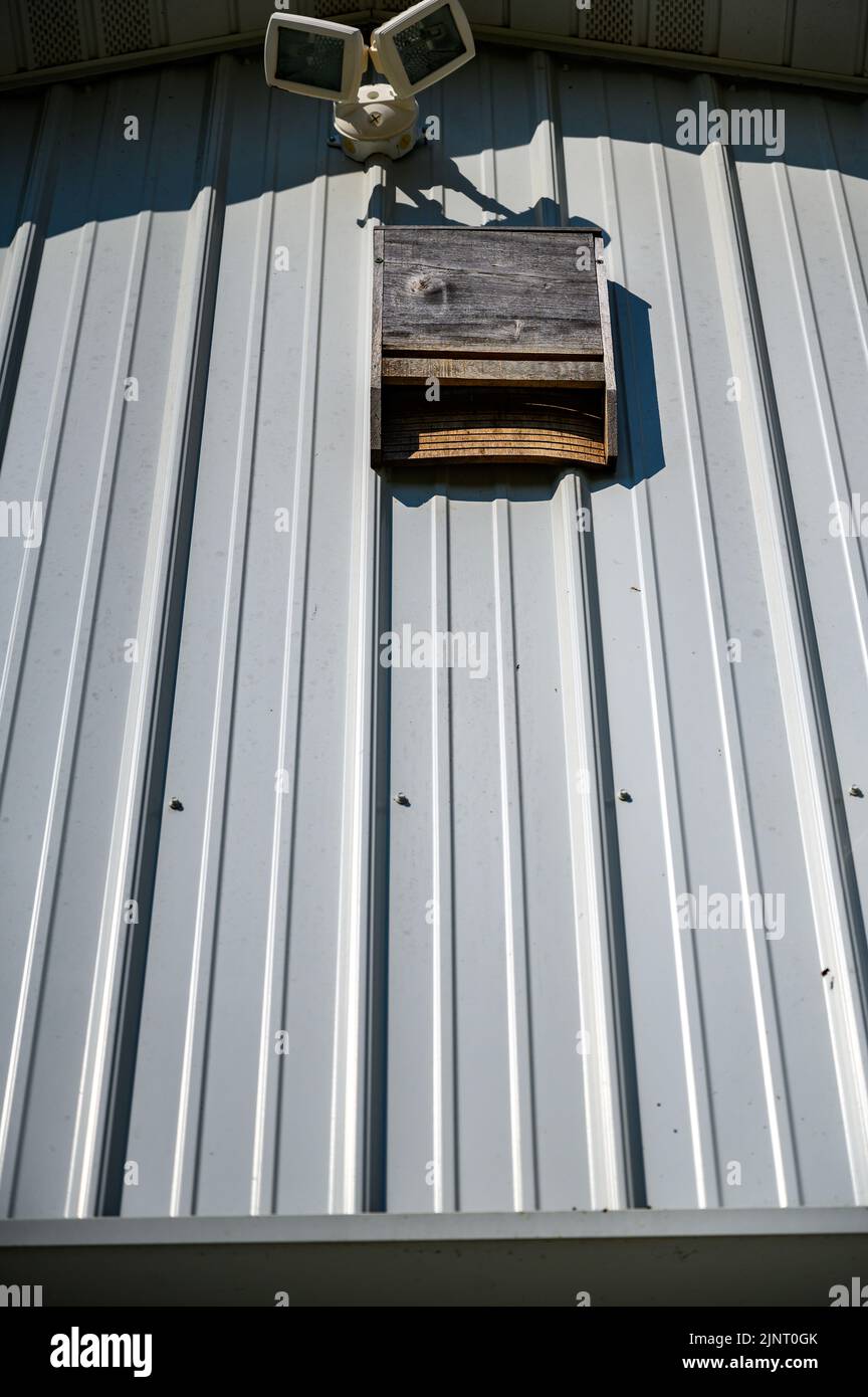 Casa di pipistrello di legno su fienile di stagno corrugato bianco Foto Stock