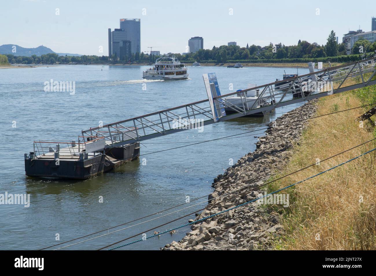 Bonn (Germania), 13 agosto 2022: Il Reno di Bonn è molto più basso del solito, esponendo i banchi di sabbia e i traghetti a cordino normalmente utilizzati dai pendolari. La siccità in Europa occidentale minaccia in modo particolare il trasporto di merci in Germania, che viaggia per fiume più che in altri paesi. Le chiatte devono viaggiare con carichi più leggeri per poter navigare nelle acque poco profonde. Anna Watson/Alamy Live News Foto Stock