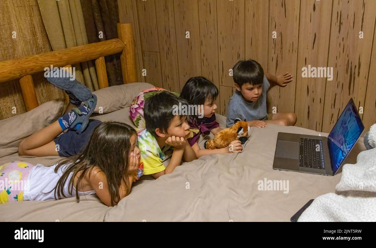 bambini piccoli che guardano video sul computer a letto Foto Stock