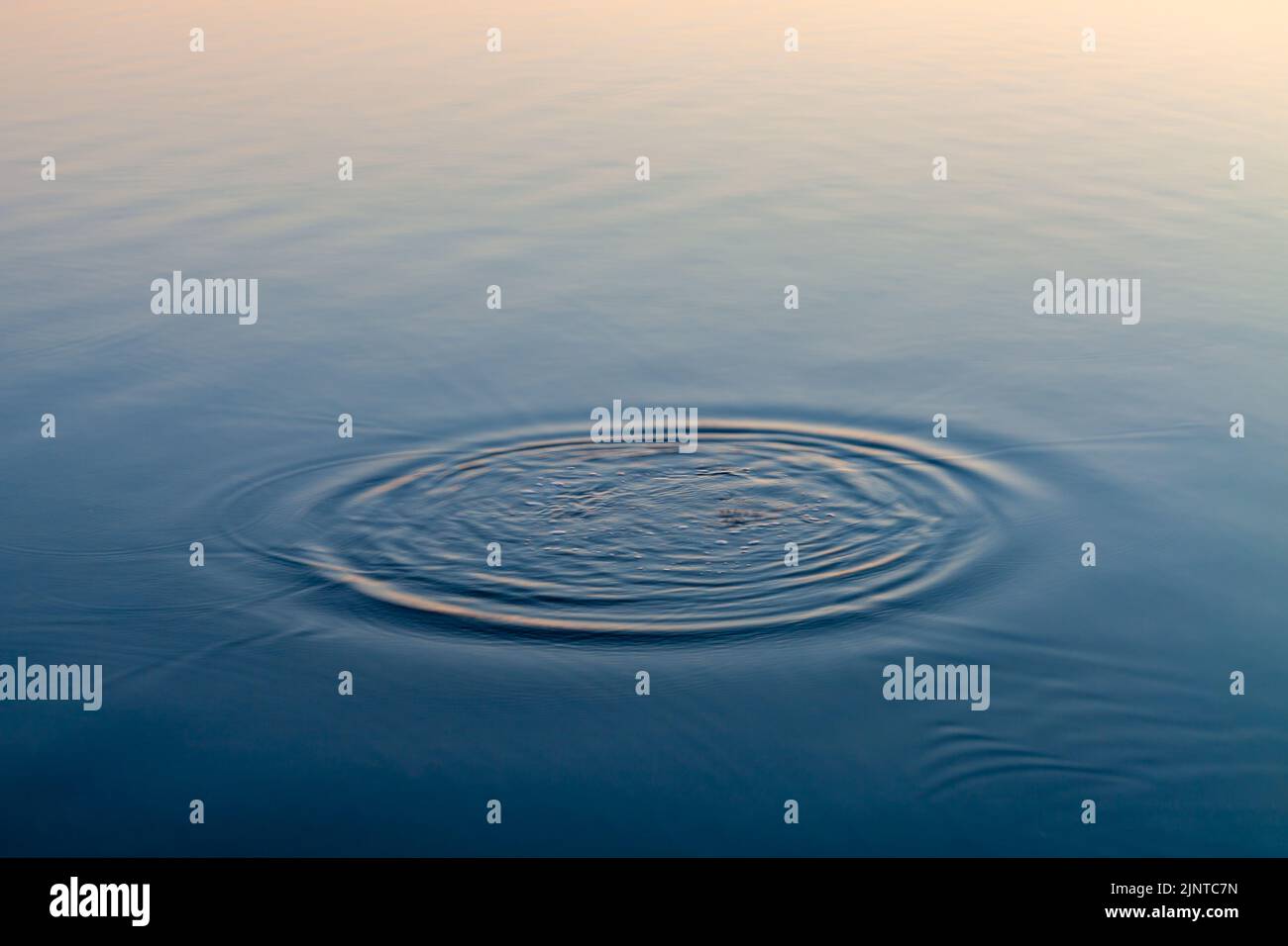 Goccioline d'acqua rotonde su cerchi sull'acqua. Goccia d'acqua, vortice e schizzi. Foto Stock