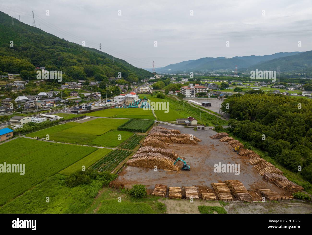 Tronchi accatastati accanto a risaie e piccola città in campagna Foto Stock