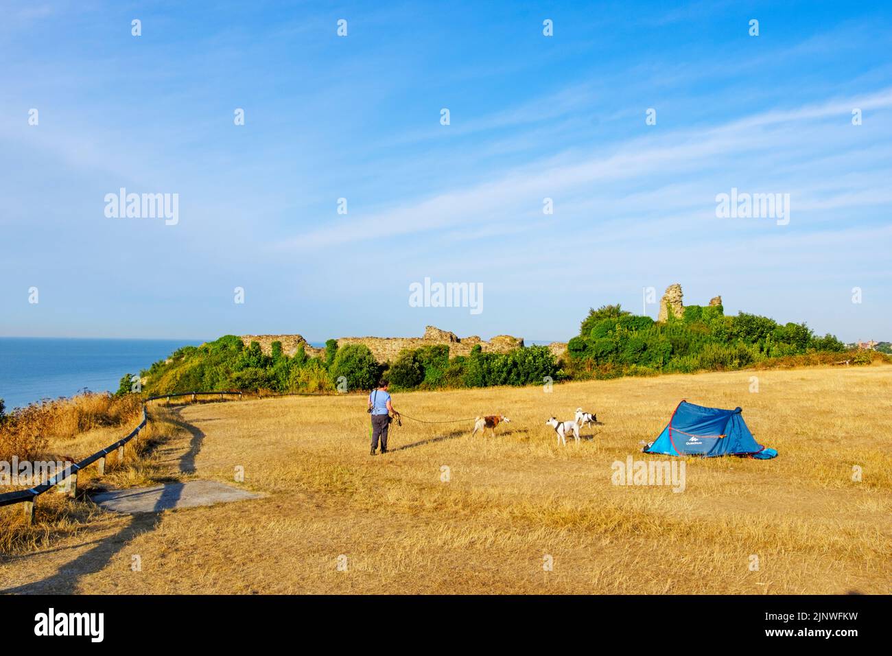 Hastings, Sussex orientale, 14th agosto 2022. Il clima caldo estremo continua e la siccità dichiarata ufficialmente dopo che l'Inghilterra ha avuto il relativo luglio più secco dal 1935. Condizioni di siccità e divieti di tubi nel Sussex orientale come erba e giardini che si appassiscono nel caldo che scrollano. Ladies Parlour di Hastings Castle, normalmente lussureggiante e verde è una ciotola di polvere arida e arida. Una donna cammina i suoi cani e un camper si avvantaggia dell'estate sul mare. Credit: Carolyn Clarke/Alamy Live News Foto Stock