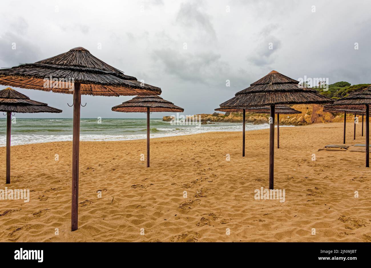 Ombrelloni sulla spiaggia vuota sotto il cielo nuvoloso Foto Stock